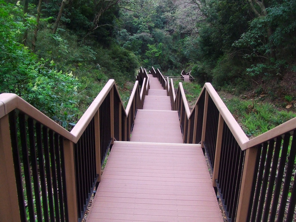 步道-棧道-Boardwalk-日本(神奈川県)-小網代の森│氶鋒建材│Doozer Wood│WPC│優美木│塑膠木│環塑木│環保木│合成木│環保塑木│塑膠仿木│環保塑合木│木塑複合材料│綠建材