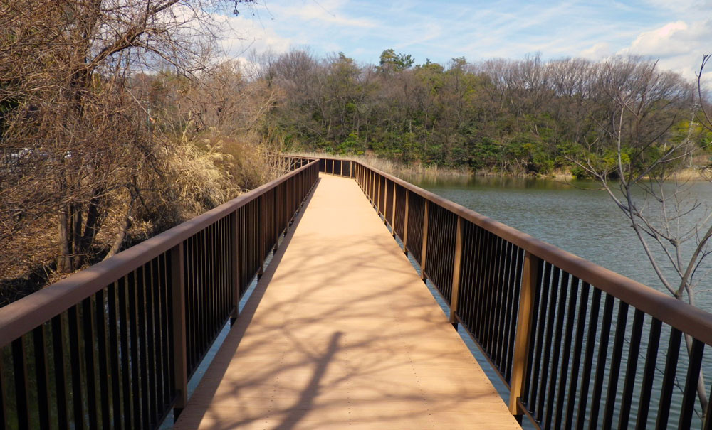 步道-棧道-Boardwalk-日本(愛知県)-大森公園│氶鋒建材│Doozer Wood│WPC│優美木│塑膠木│環塑木│環保木│合成木│環保塑木│塑膠仿木│環保塑合木│木塑複合材料│再生環保│綠建材