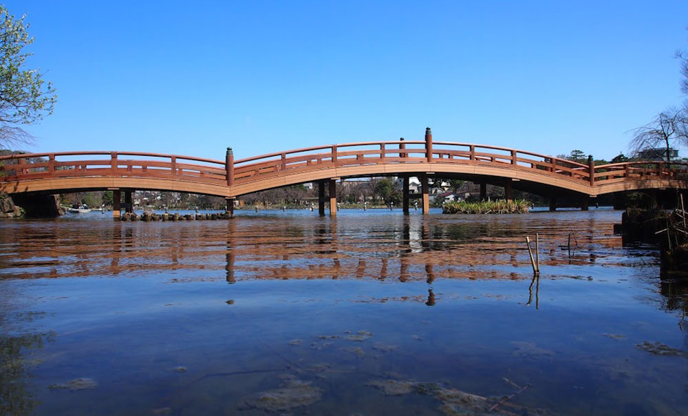 木棧橋-Bridge-日本(東京都)-池月橋│氶鋒建材│Doozer Wood│WPC│優美木│塑膠木│環塑木│環保木│合成木│環保塑木│塑膠仿木│環保塑合木│木塑複合材料│綠建材